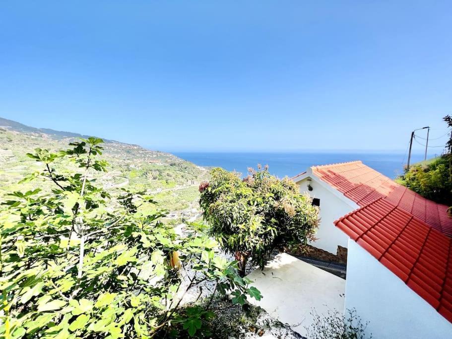 Mar A Vista By Your Madeira Rentals Понта-ду-Сол Екстер'єр фото