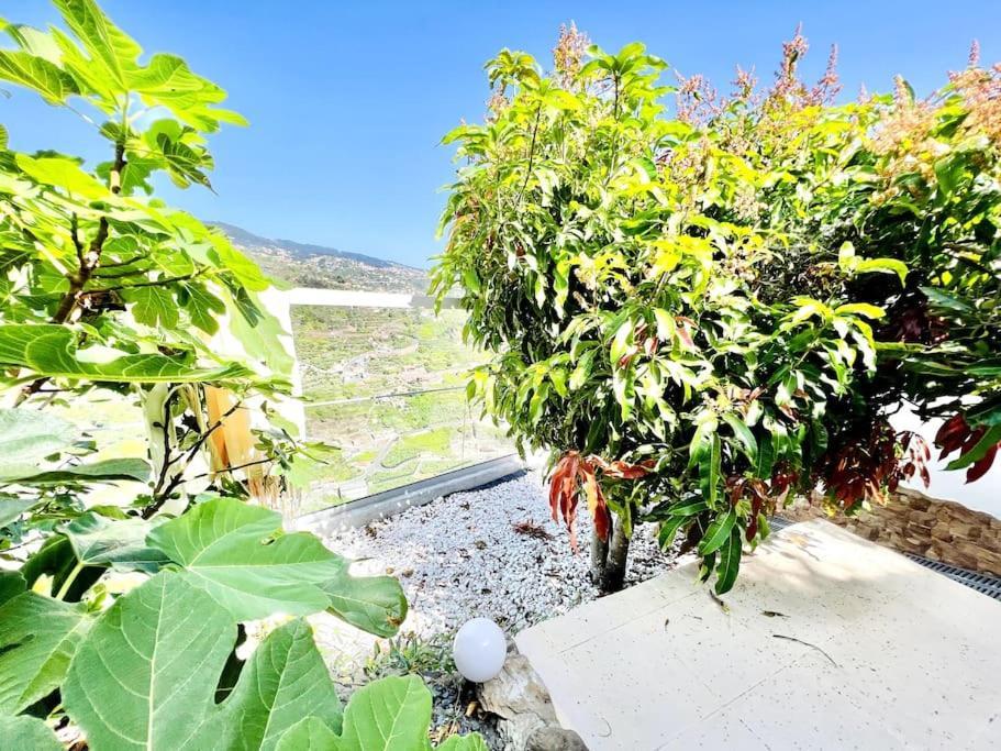 Mar A Vista By Your Madeira Rentals Понта-ду-Сол Екстер'єр фото